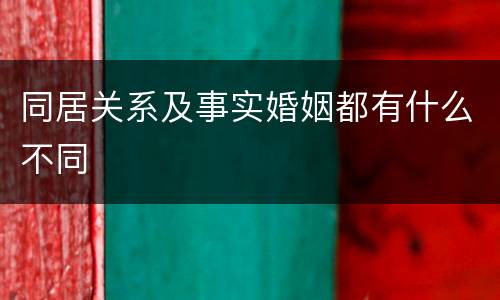 同居关系及事实婚姻都有什么不同
