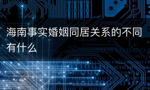 海南事实婚姻同居关系的不同有什么