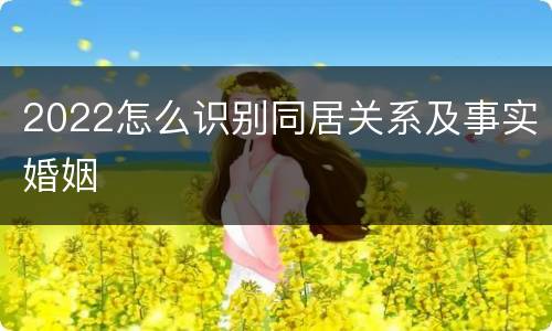 2022怎么识别同居关系及事实婚姻