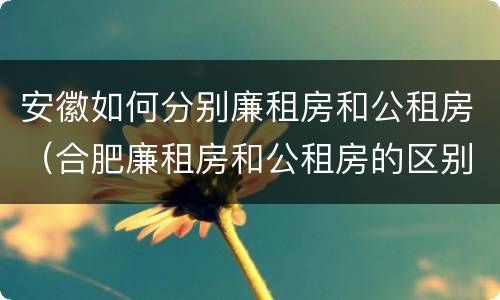 安徽如何分别廉租房和公租房（合肥廉租房和公租房的区别）