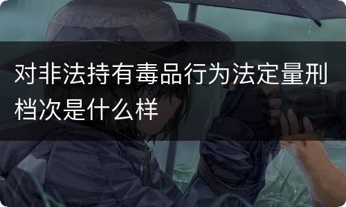 对非法持有毒品行为法定量刑档次是什么样