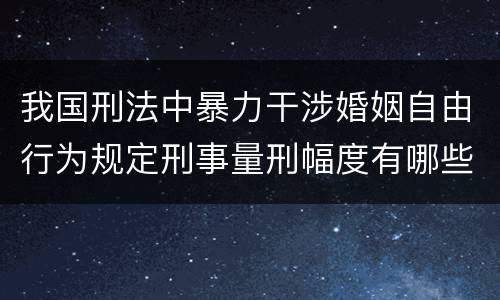 我国刑法中暴力干涉婚姻自由行为规定刑事量刑幅度有哪些