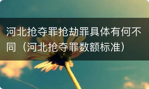 河北抢夺罪抢劫罪具体有何不同（河北抢夺罪数额标准）