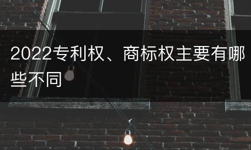 2022专利权、商标权主要有哪些不同