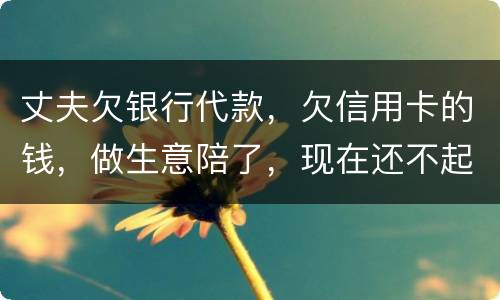 丈夫欠银行代款，欠信用卡的钱，做生意陪了，现在还不起，该怎么办