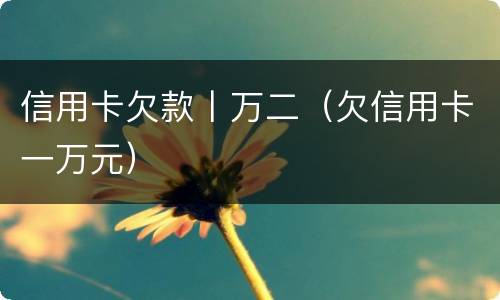 信用卡欠款丨万二（欠信用卡一万元）