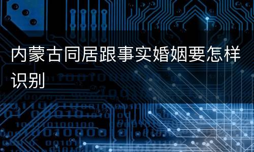 内蒙古同居跟事实婚姻要怎样识别