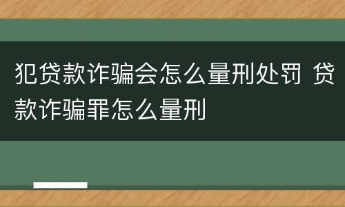 犯贷款诈骗会怎么量刑处罚 贷款诈骗罪怎么量刑