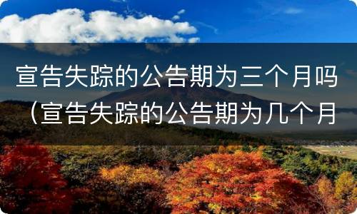 宣告失踪的公告期为三个月吗（宣告失踪的公告期为几个月）