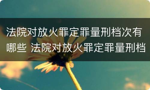 法院对放火罪定罪量刑档次有哪些 法院对放火罪定罪量刑档次有哪些标准