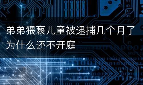 弟弟猥亵儿童被逮捕几个月了为什么还不开庭