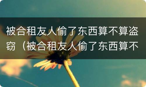 被合租友人偷了东西算不算盗窃（被合租友人偷了东西算不算盗窃行为）