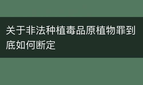 关于非法种植毒品原植物罪到底如何断定