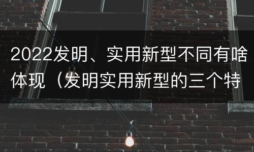 2022发明、实用新型不同有啥体现（发明实用新型的三个特点）