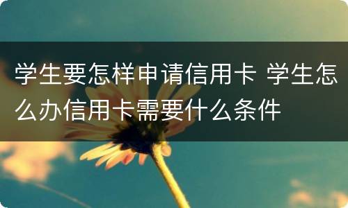 学生要怎样申请信用卡 学生怎么办信用卡需要什么条件