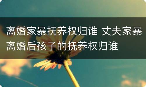 离婚家暴抚养权归谁 丈夫家暴离婚后孩子的抚养权归谁