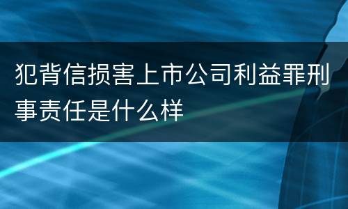 犯背信损害上市公司利益罪刑事责任是什么样