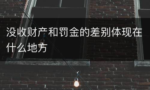 没收财产和罚金的差别体现在什么地方
