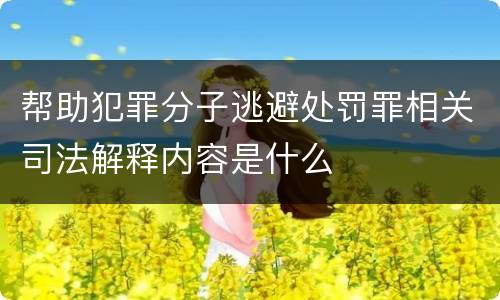 帮助犯罪分子逃避处罚罪相关司法解释内容是什么