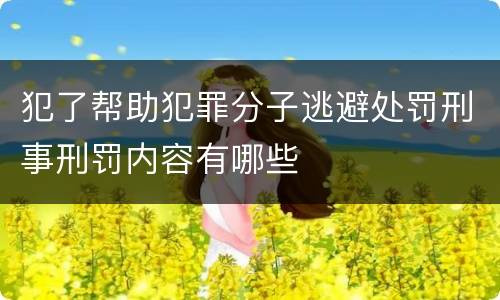 犯了帮助犯罪分子逃避处罚刑事刑罚内容有哪些