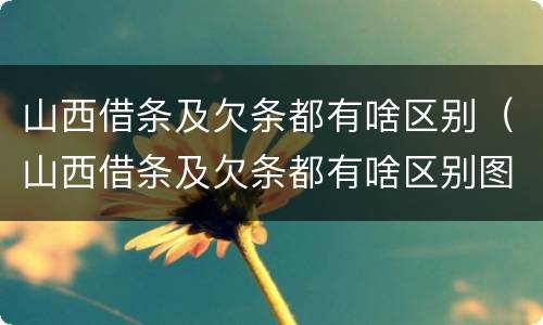 山西借条及欠条都有啥区别（山西借条及欠条都有啥区别图片）