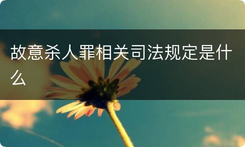 故意杀人罪相关司法规定是什么