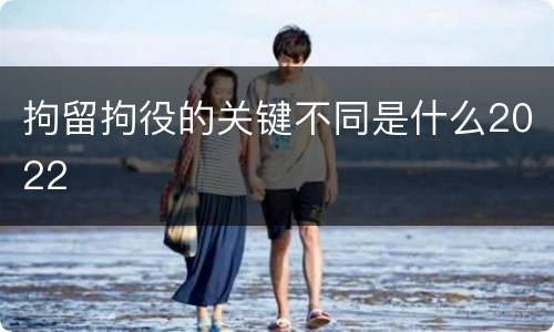 拘留拘役的关键不同是什么2022