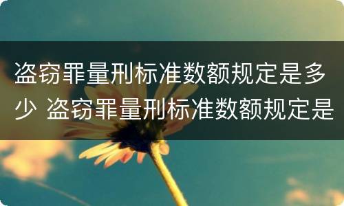 盗窃罪量刑标准数额规定是多少 盗窃罪量刑标准数额规定是多少啊