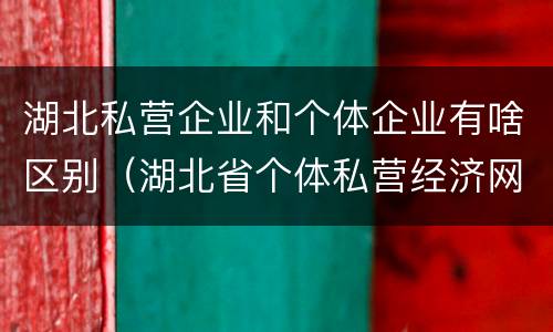 湖北私营企业和个体企业有啥区别（湖北省个体私营经济网）