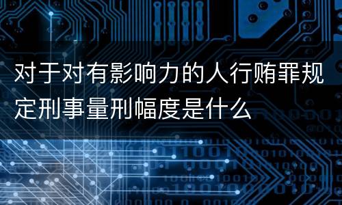 对于对有影响力的人行贿罪规定刑事量刑幅度是什么