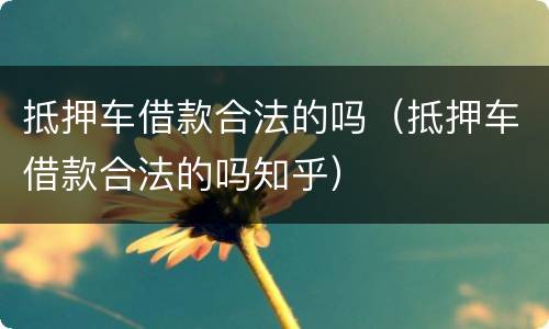 抵押车借款合法的吗（抵押车借款合法的吗知乎）