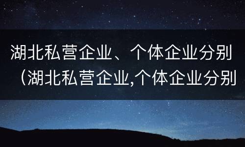 湖北私营企业、个体企业分别（湖北私营企业,个体企业分别有哪些）