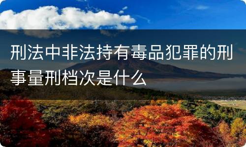 刑法中非法持有毒品犯罪的刑事量刑档次是什么