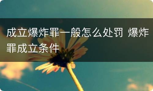 成立爆炸罪一般怎么处罚 爆炸罪成立条件