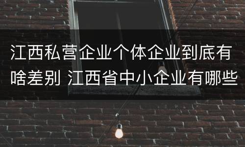 江西私营企业个体企业到底有啥差别 江西省中小企业有哪些