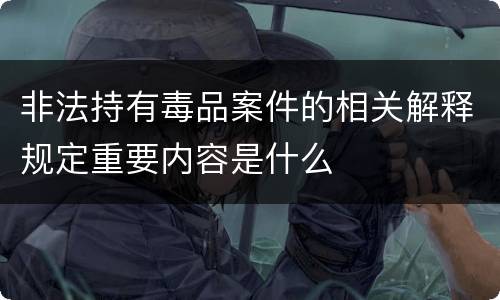 非法持有毒品案件的相关解释规定重要内容是什么