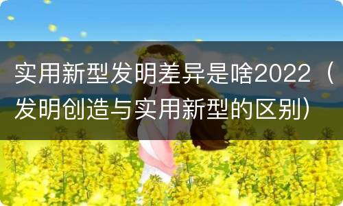 实用新型发明差异是啥2022（发明创造与实用新型的区别）