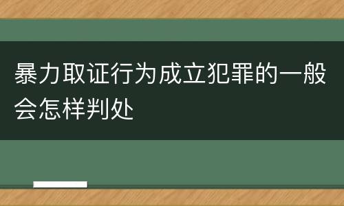 暴力取证行为成立犯罪的一般会怎样判处