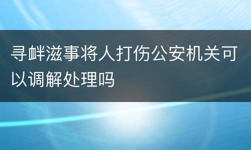寻衅滋事将人打伤公安机关可以调解处理吗