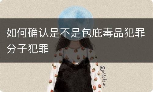 如何确认是不是包庇毒品犯罪分子犯罪
