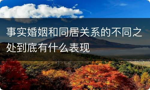 事实婚姻和同居关系的不同之处到底有什么表现