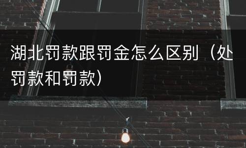 湖北罚款跟罚金怎么区别（处罚款和罚款）
