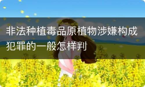 非法种植毒品原植物涉嫌构成犯罪的一般怎样判