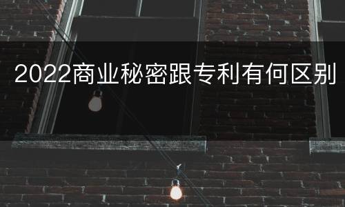 2022商业秘密跟专利有何区别