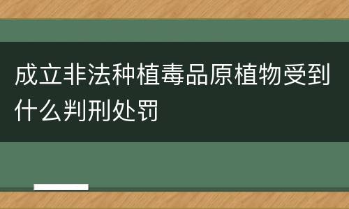 成立非法种植毒品原植物受到什么判刑处罚
