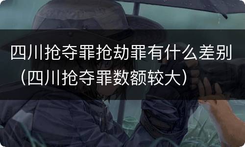 四川抢夺罪抢劫罪有什么差别（四川抢夺罪数额较大）