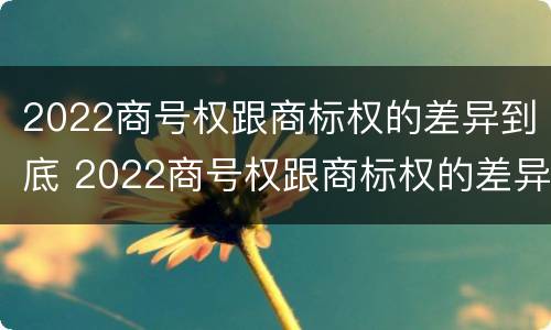 2022商号权跟商标权的差异到底 2022商号权跟商标权的差异到底多大