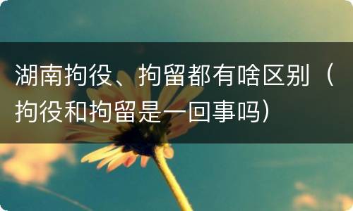 湖南拘役、拘留都有啥区别（拘役和拘留是一回事吗）