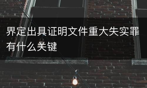 界定出具证明文件重大失实罪有什么关键