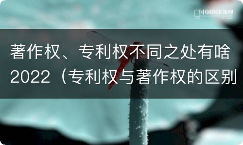 著作权、专利权不同之处有啥2022（专利权与著作权的区别与联系）
